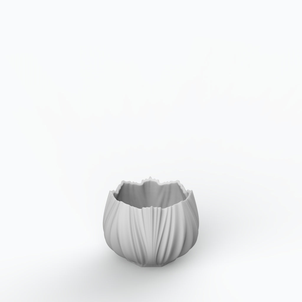 Coral Neve P Porcelain Vase (h13 cm) - Holaria