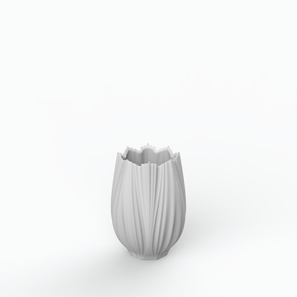 Coral Neve G Porcelain Vase (h19 cm) - Holaria