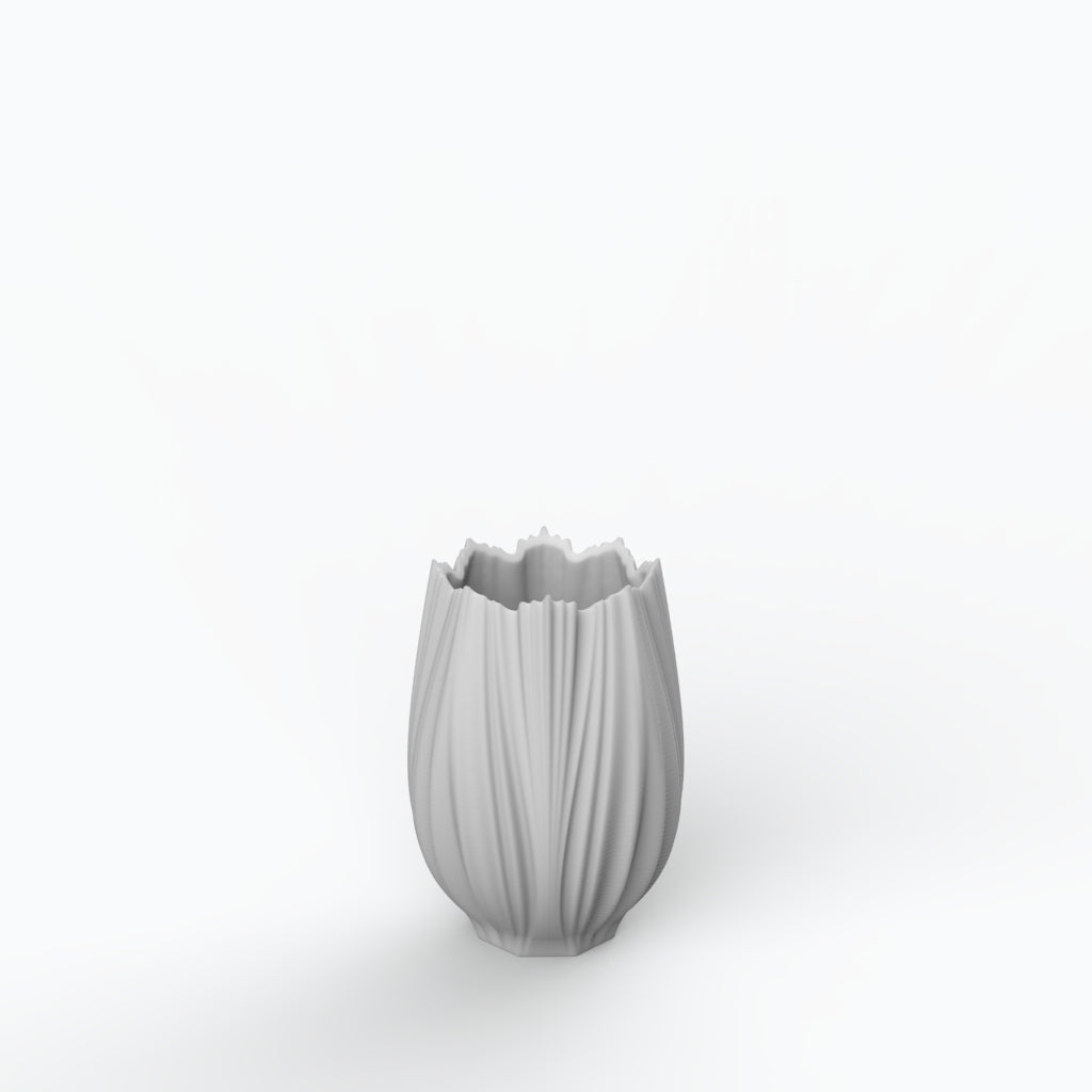 Coral Neve G Porcelain Vase (h19 cm) - Holaria