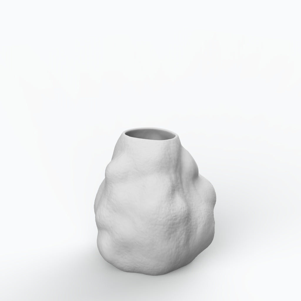 Jatobá P Porcelain Vase (h cm) - Holaria