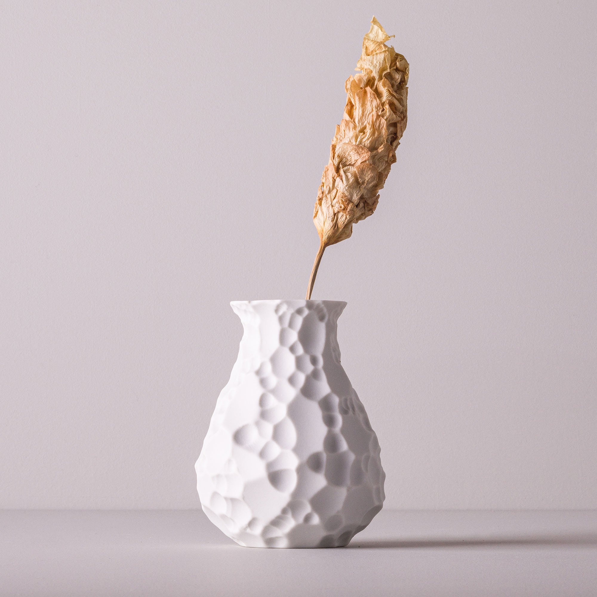 Krater Porcelain Vase (h15 cm) - Holaria