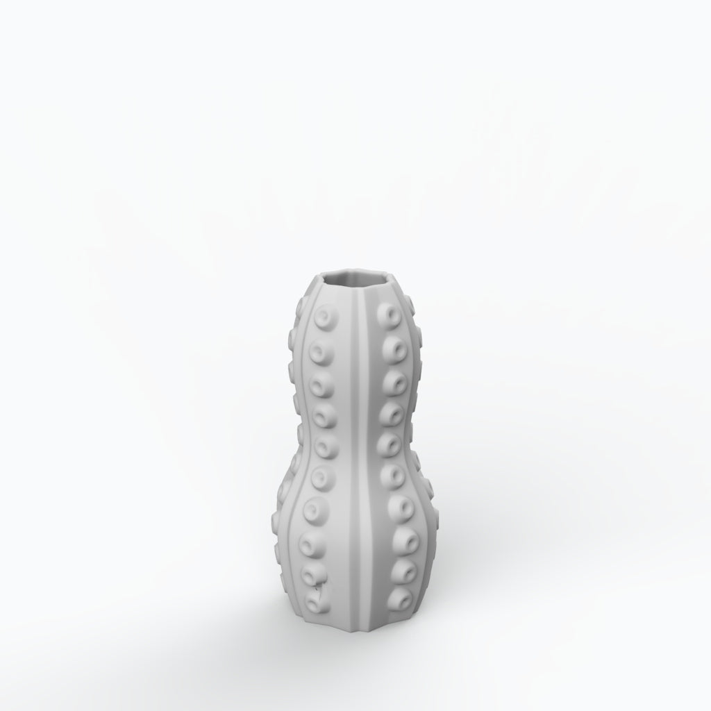 Molusca Porcelain Vase (h26 cm) - Holaria