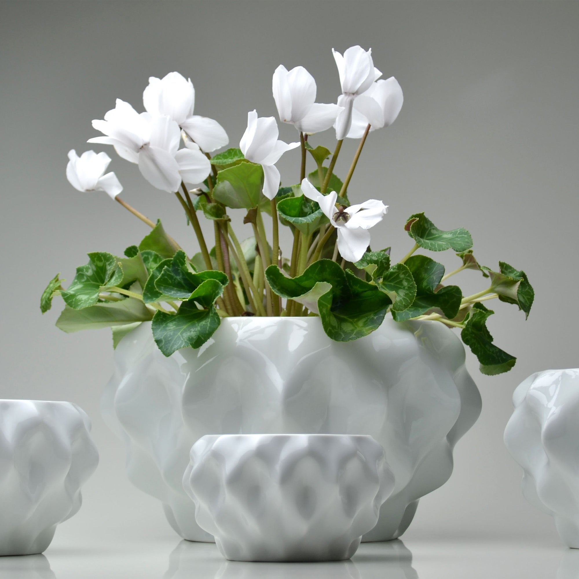 Plissan GG Porcelain Pot (h20 cm) - Holaria