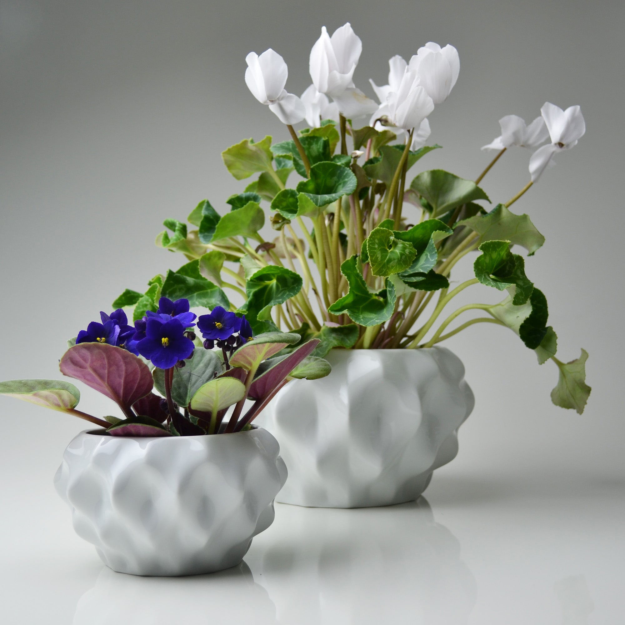 Plissan P Porcelain Pot (H10 cm)