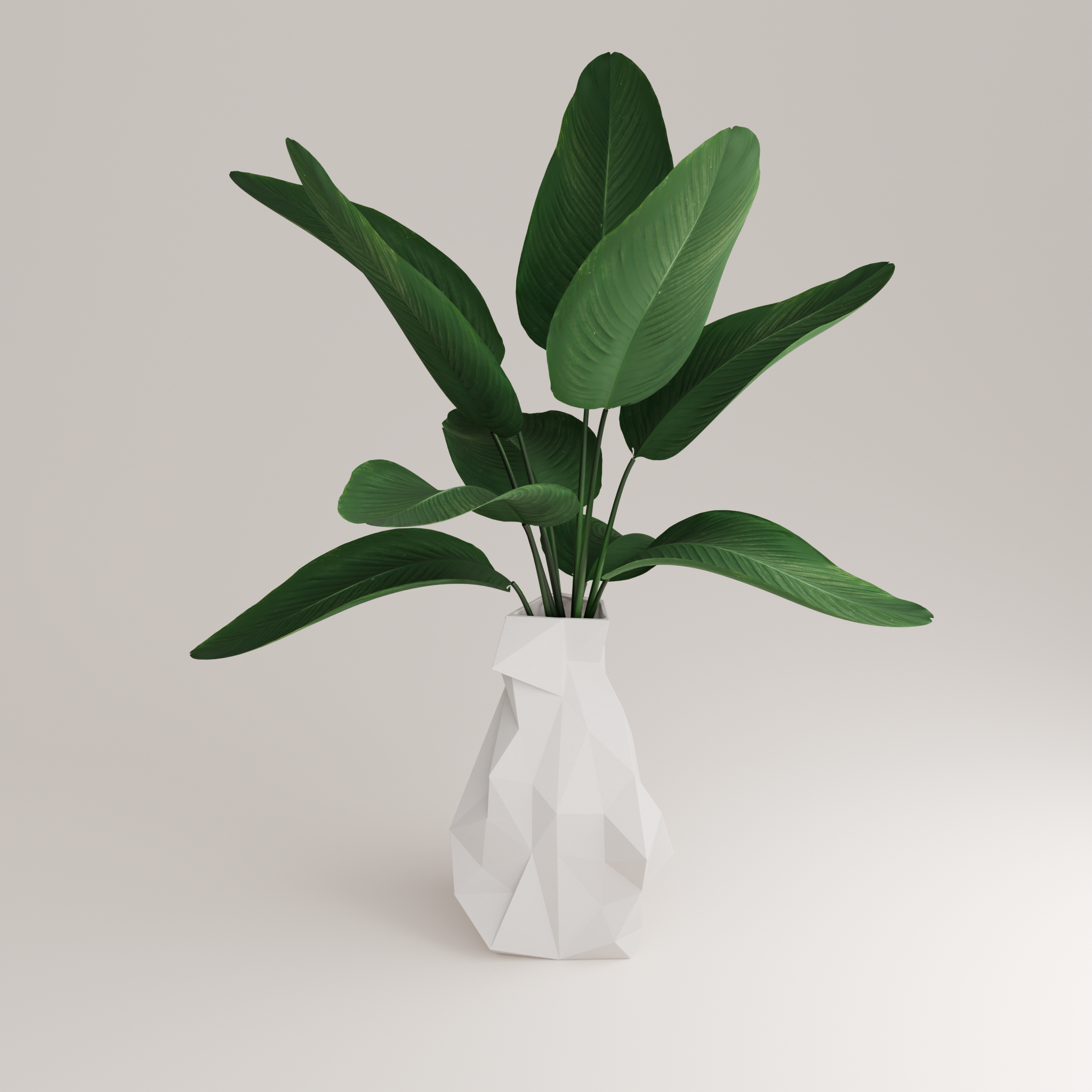 Simplexxa 4 - Porcelain Vase (h37 cm)