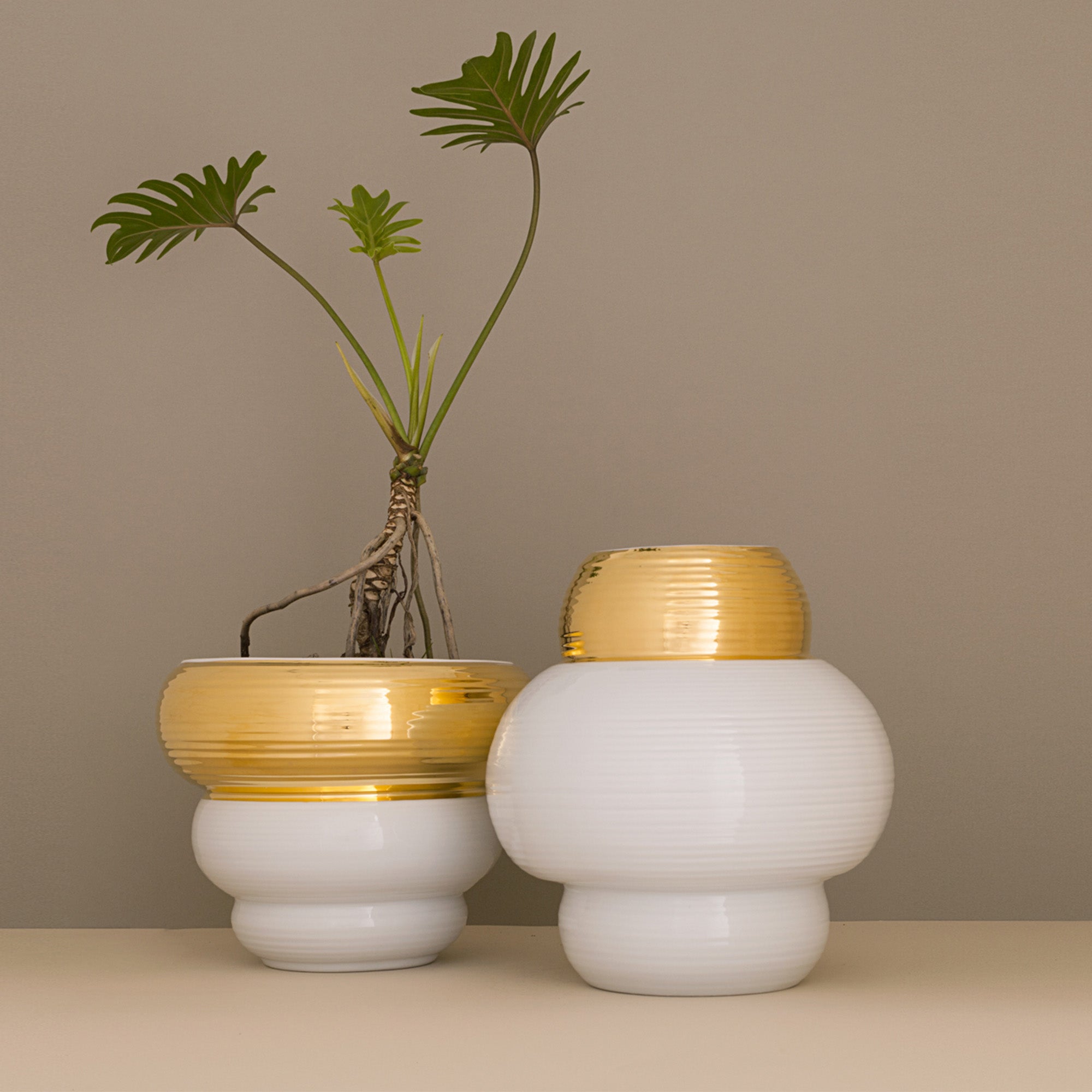 DIP P Porcelain Pot (h10 cm) - Holaria