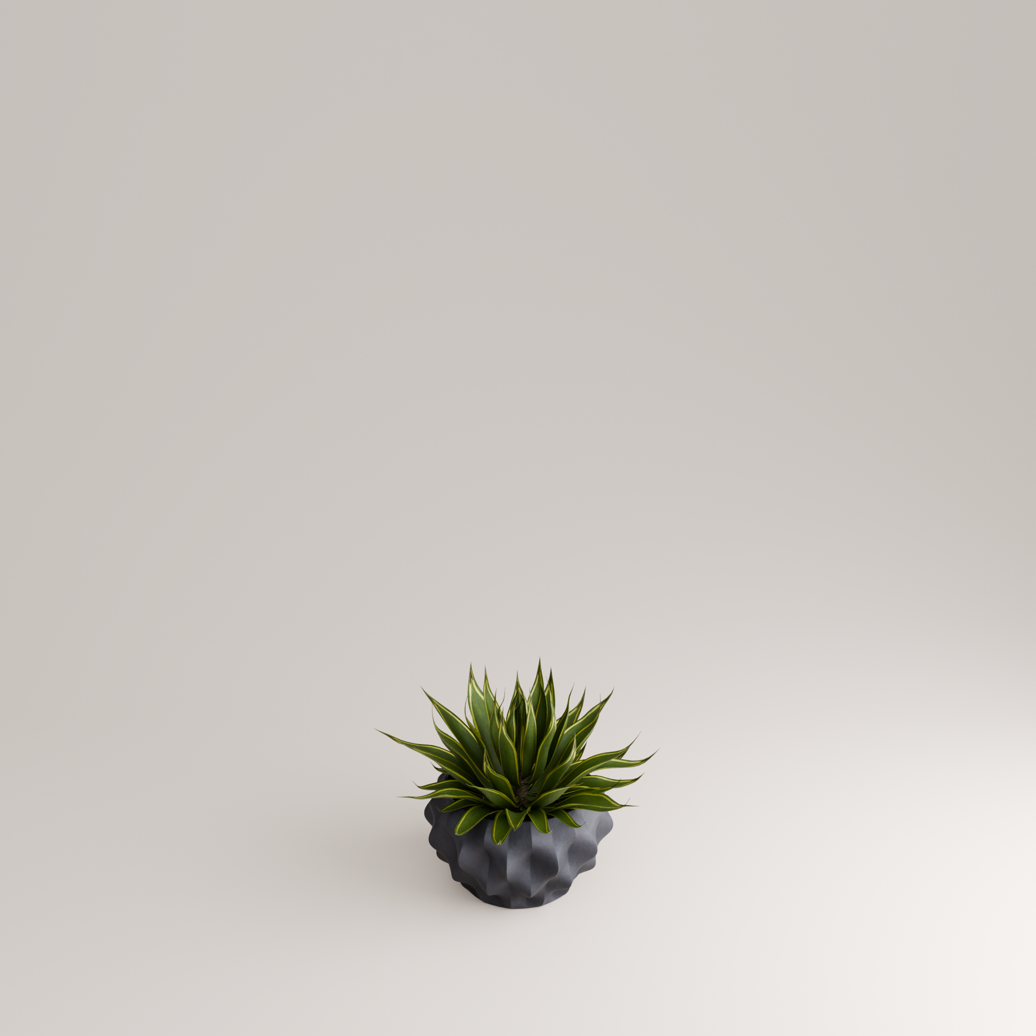 Plissan M Porcelain Pot (h12 cm) - Holaria