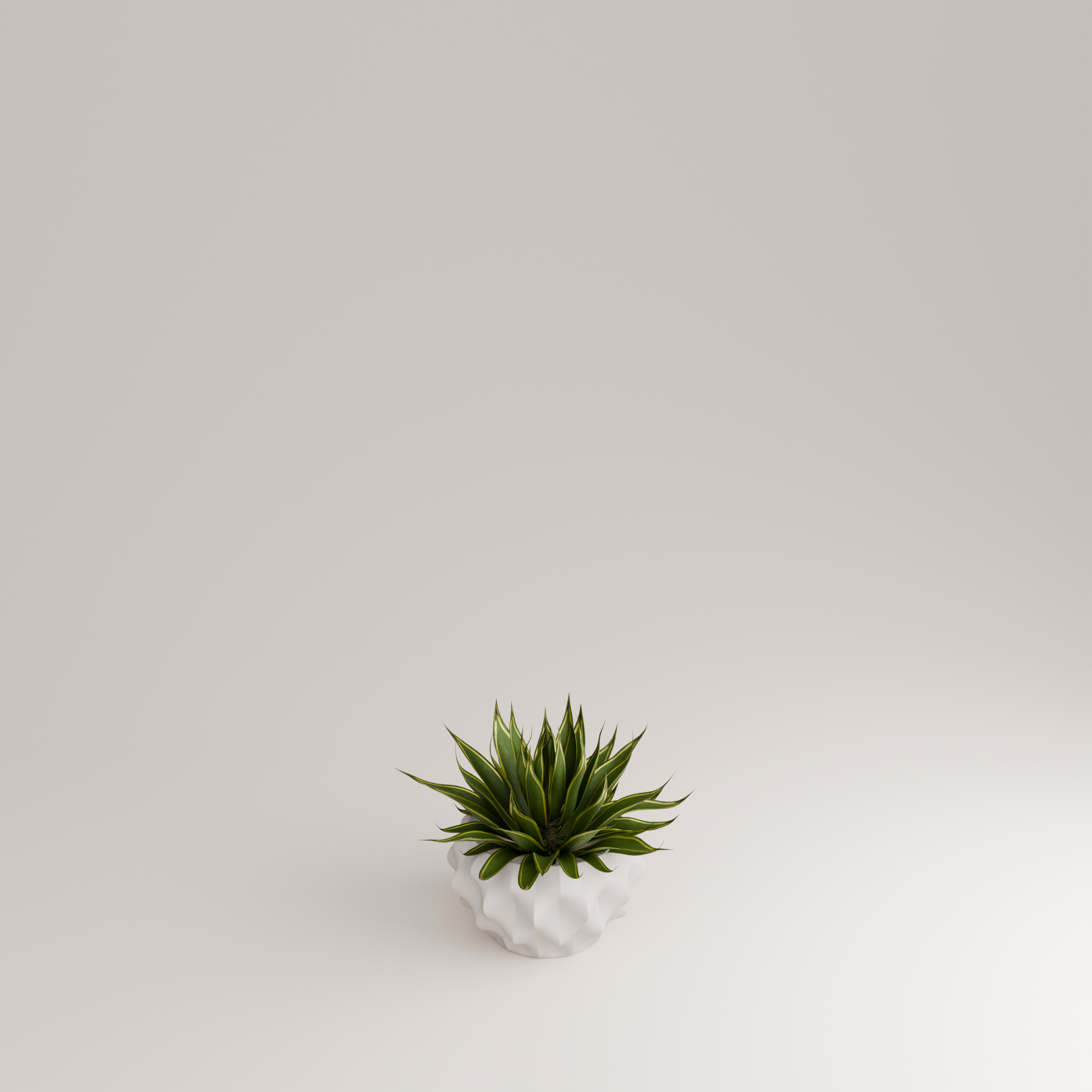 Plissan M Porcelain Pot (h12 cm) - Holaria