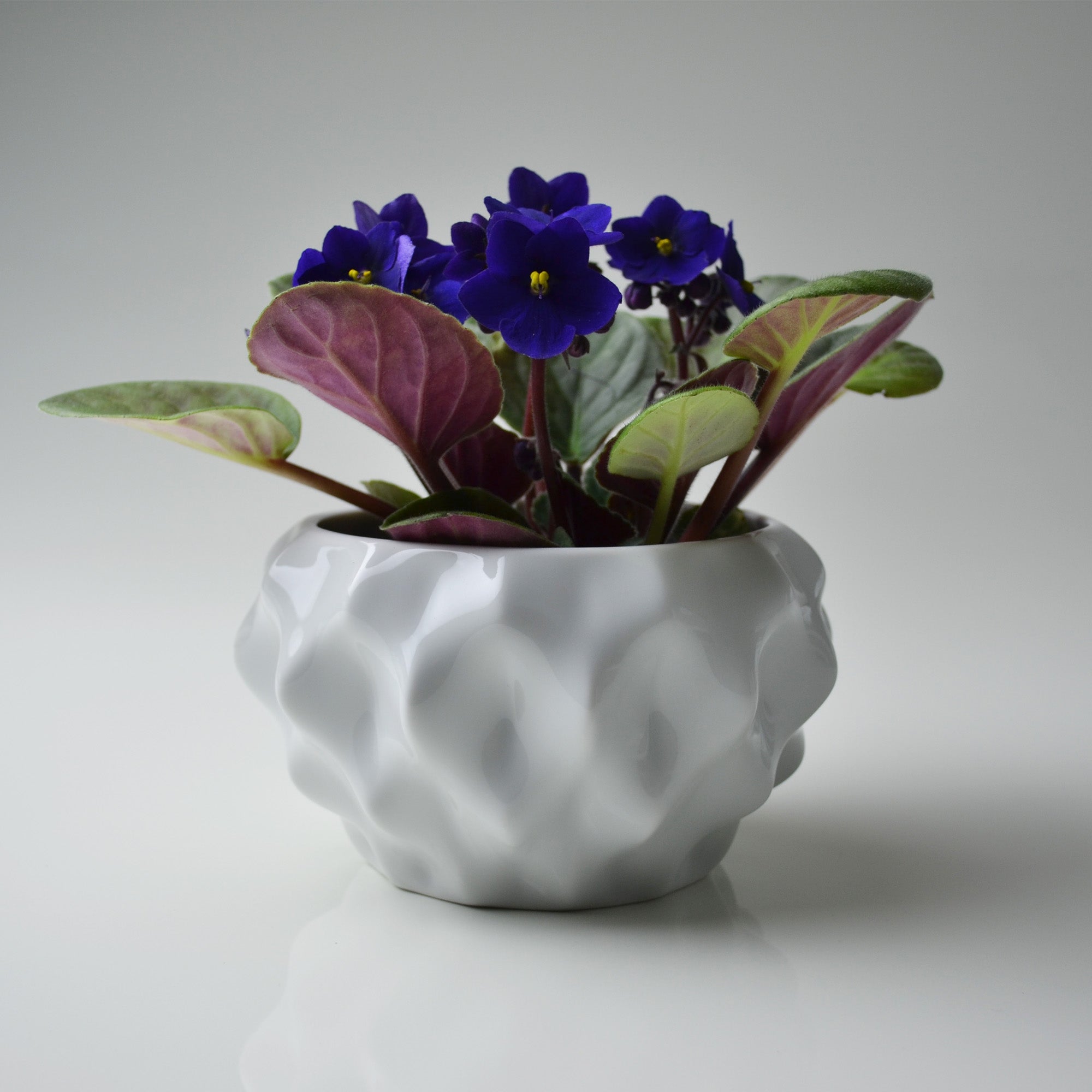 Plissan GG Porcelain Pot (h20 cm) - Holaria